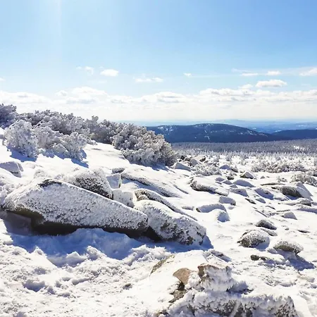 Апартаменты Cozy In Шклярска-Поремба