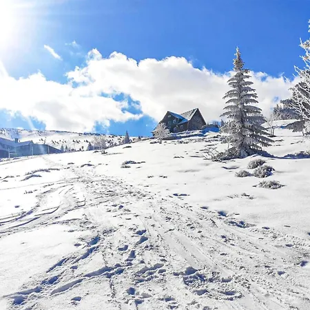 Апартаменты Cozy In *